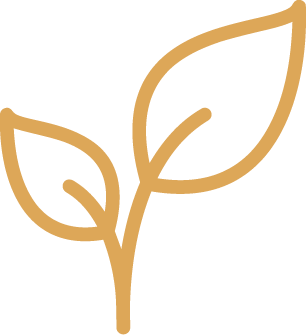 Sustainable Development